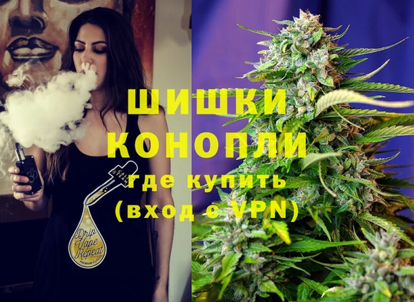 apvp Алексин