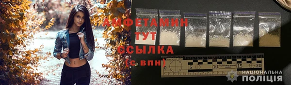 индика Новозыбков