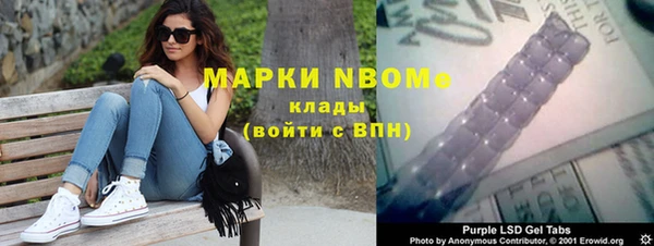 индика Новозыбков